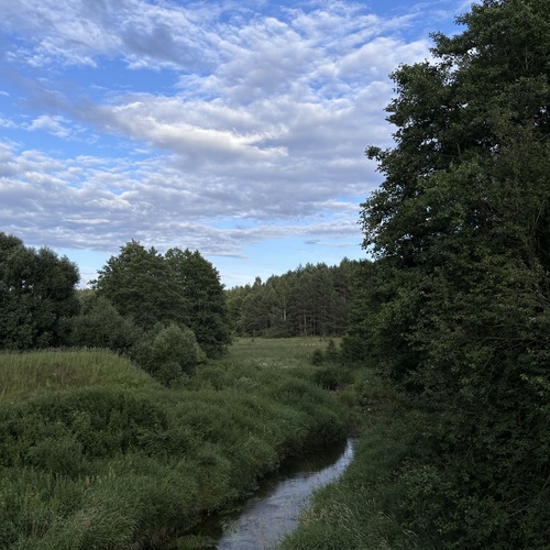 Photo #13775908