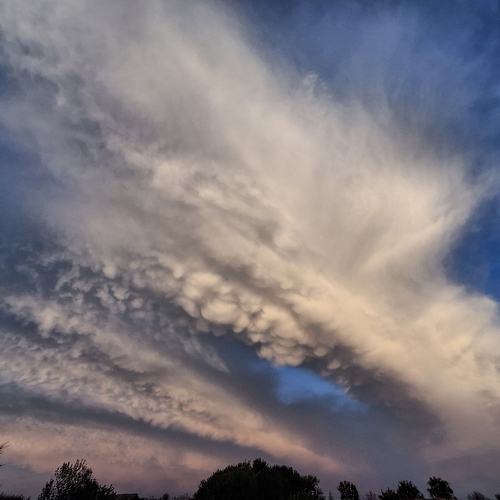 Photo #13775932