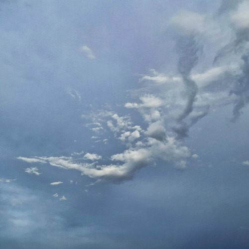 Photo #13775935