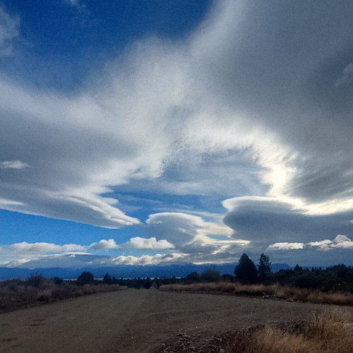Photo #13775991