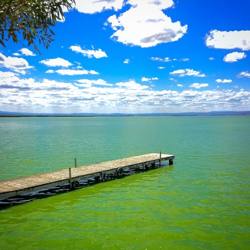 Photo #13776018