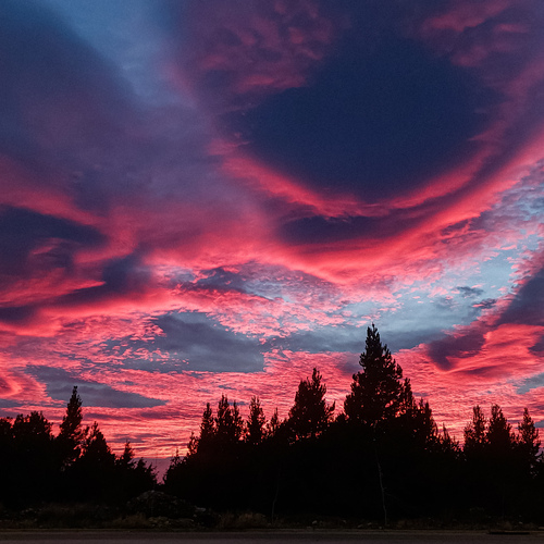 Photo #13776029
