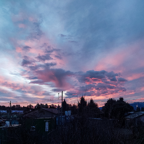Photo #13776044