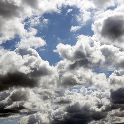 Photo #13776066