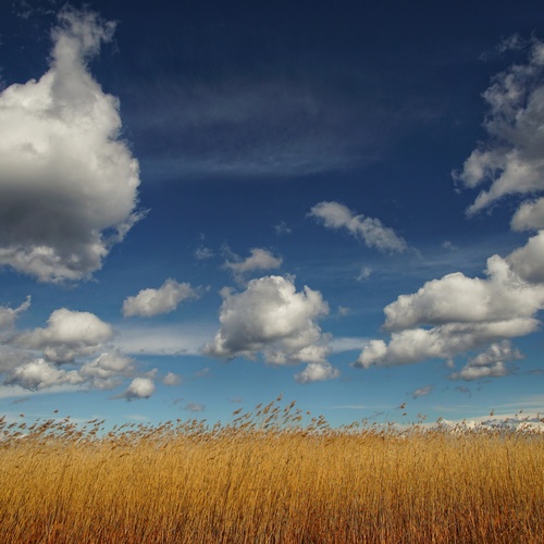 Photo #13776104