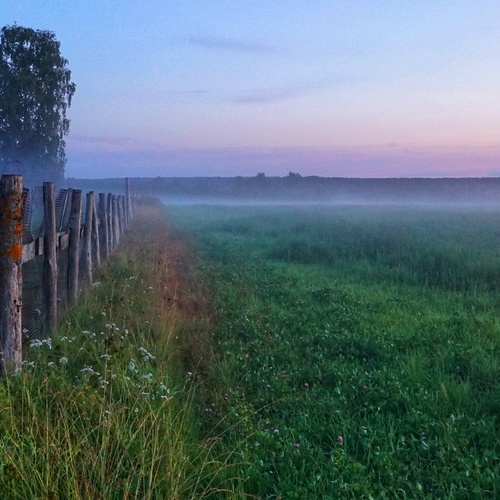 Photo #13776130