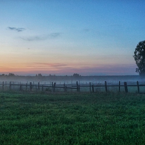 Photo #13776132