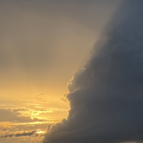 Photo #13776181