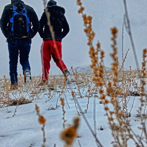 Photo #13776191