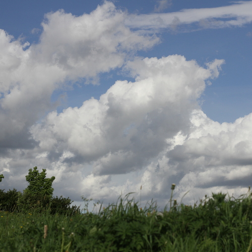 Photo #13776195