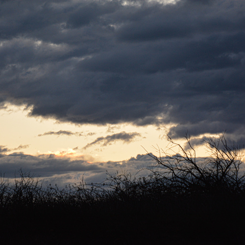 Photo #13776413