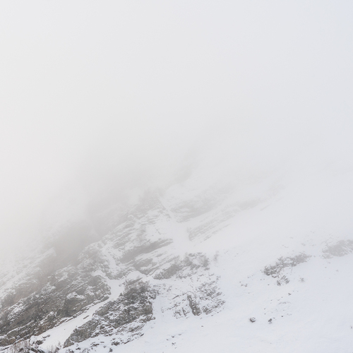 Photo #13776442