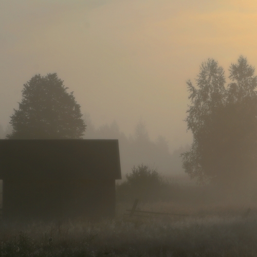 Photo #13776451