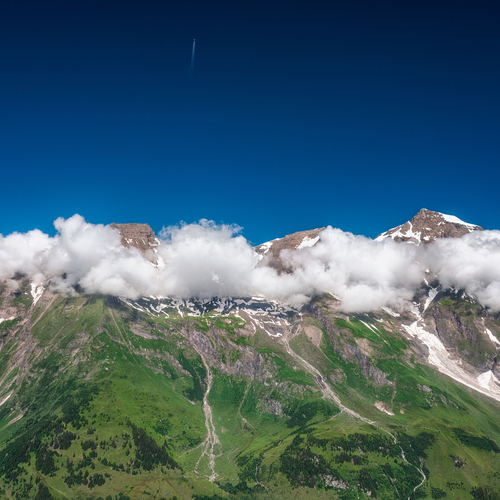 Photo #13776456