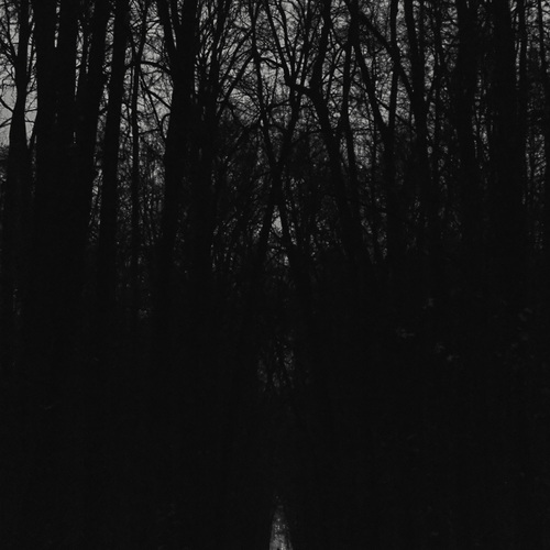 Photo #13776584