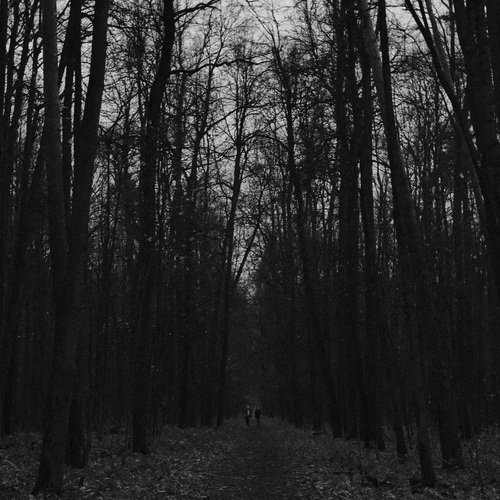Photo #13776586