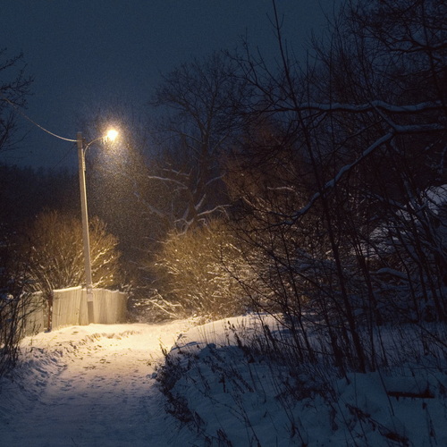 Photo #13776589