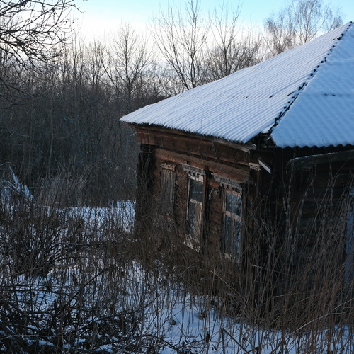 Photo #13776601