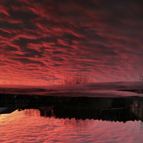 Photo #13776700