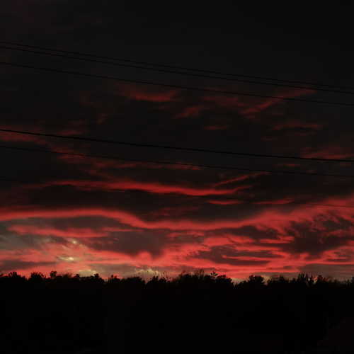 Photo #13776701