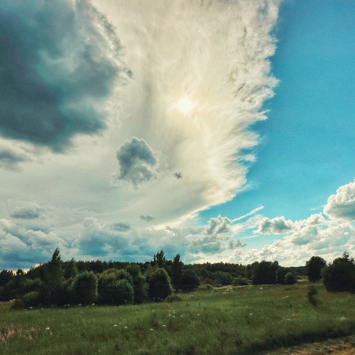 Photo #13776781