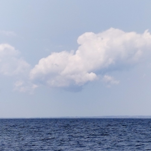 Photo #13776783