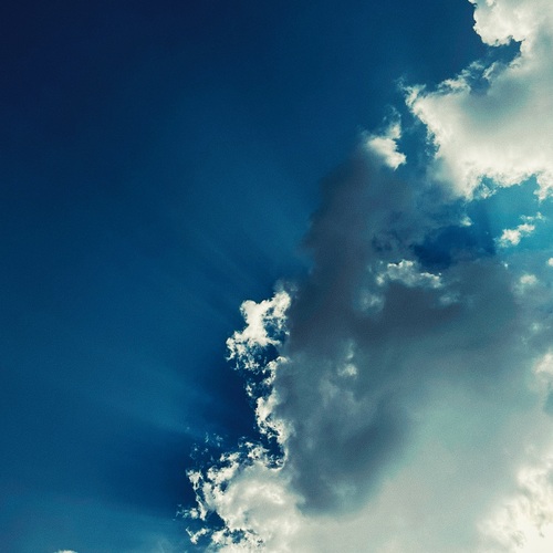 Photo #13776784
