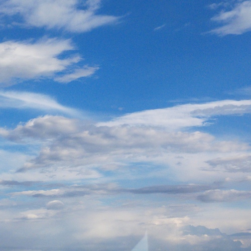 Photo #13776804