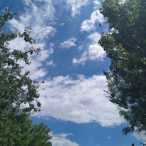 Photo #13776855