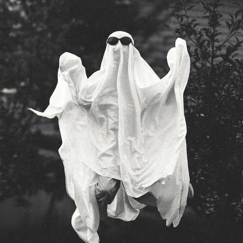 Photo #13776933