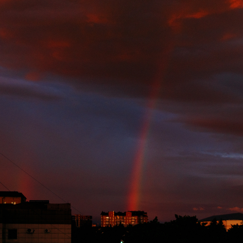 Photo #13776946