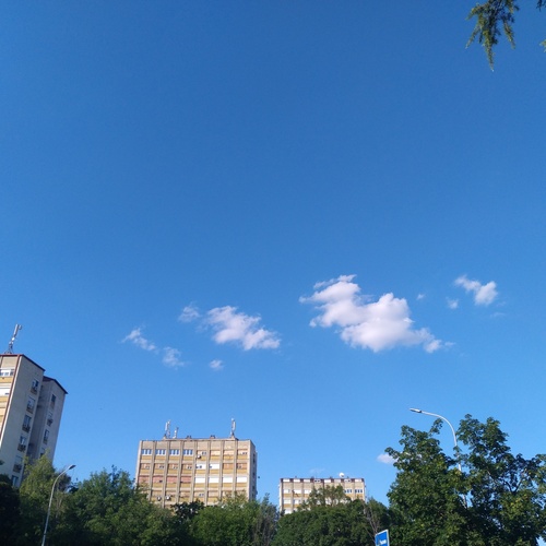 Photo #13777066