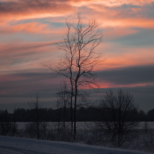 Photo #13777141