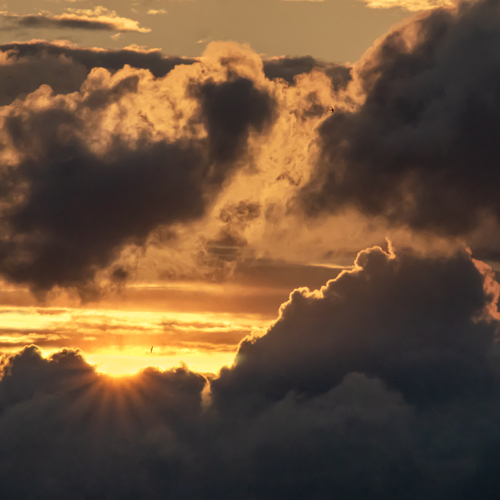 Photo #13777282