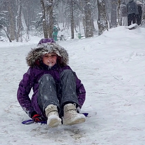 Photo #13777298
