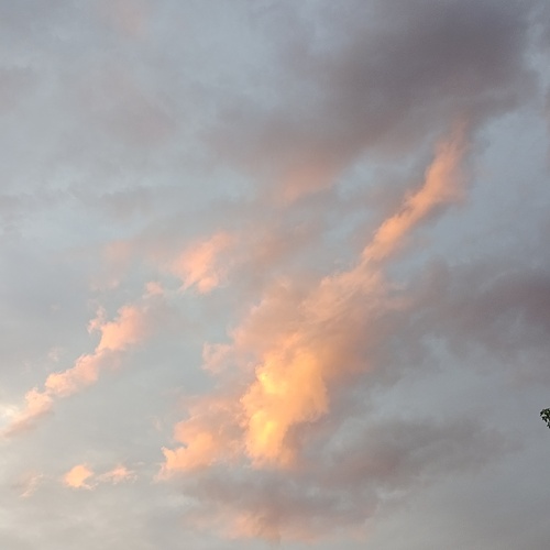 Photo #13777357
