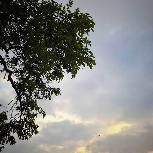 Photo #13777403