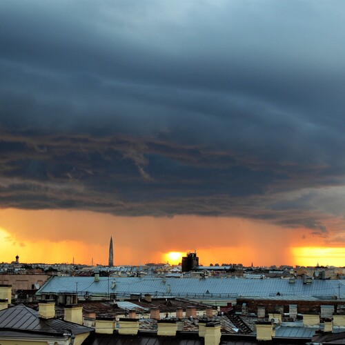 Photo #13777418