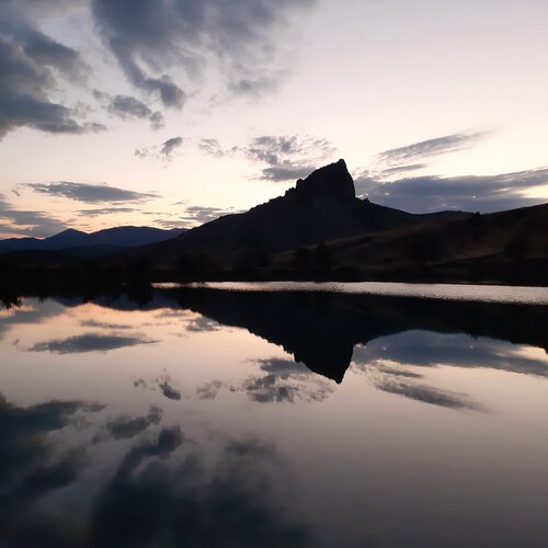 Photo #13777471