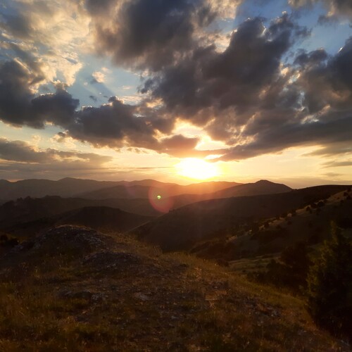 Photo #13777478