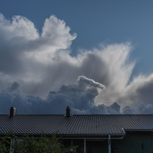 Photo #13777479