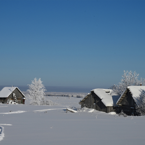 Photo #13777482