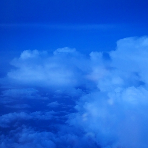Photo #13777498