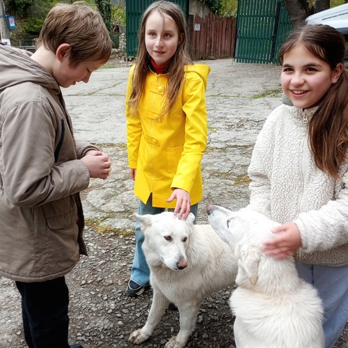 Photo #13777507