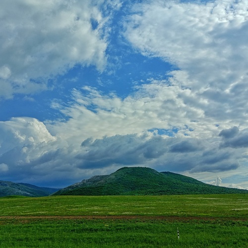 Photo #13777550