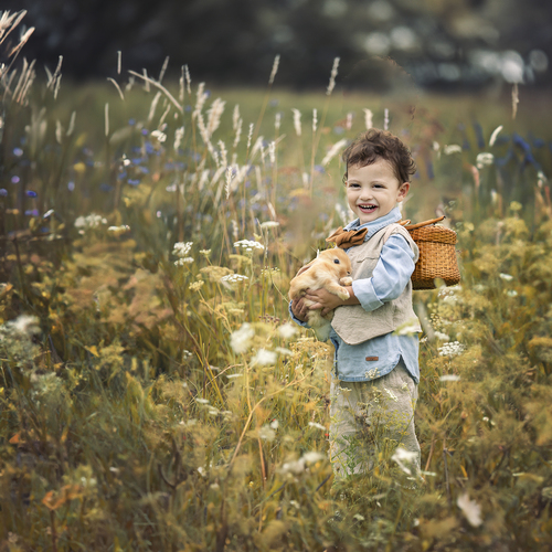 Photo #13777634