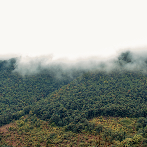 Photo #13777737