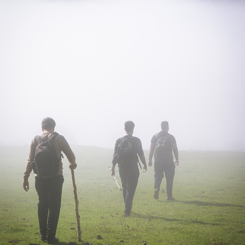 Photo #13777744