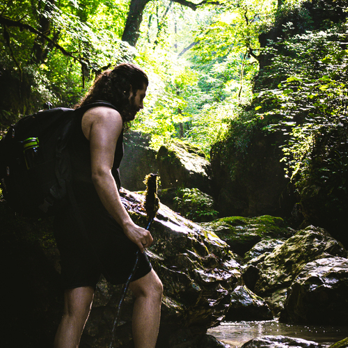 Photo #13777745