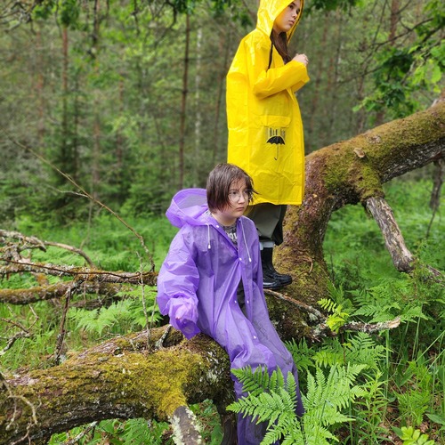Photo #13777748